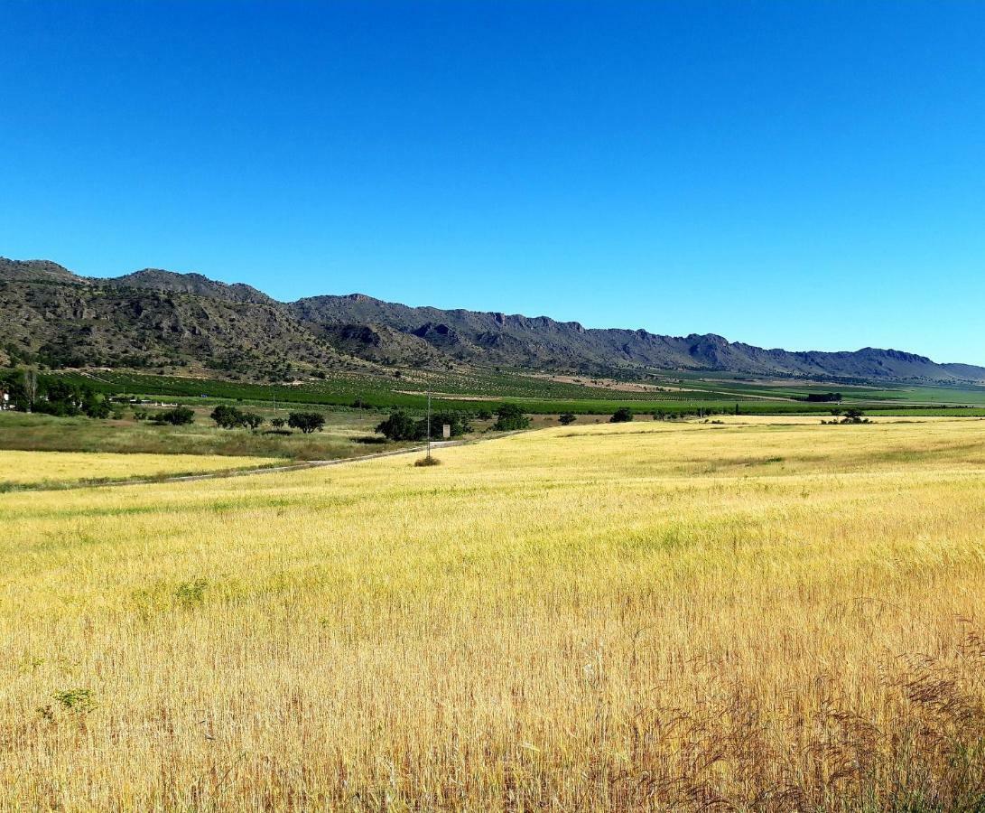 Casa Vidal Relax Al Pie De La Sierra Villa Yecla Eksteriør billede